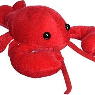 Autistic streamer, swears way too much. The biggest frog enthusiast. Don't forget to drink DUBBY today (code MINDBUCKET)