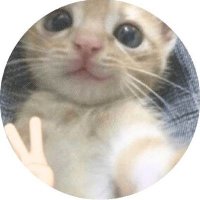 Alí (@j26091310) 's Twitter Profile