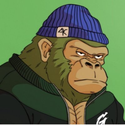 JcfLion Profile Picture