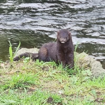 xoanra's profile picture. 