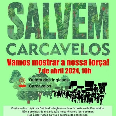 sssardinha's profile picture. O mundo como eu o vejo