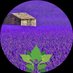 SEVE Nature (@sgirardet83) Twitter profile photo SEVE Nature (@sgirardet83) Twitter profile photo