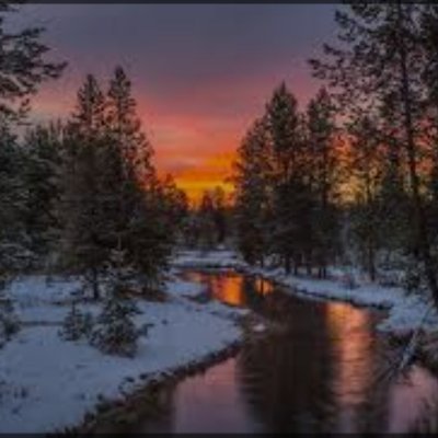 SOF07566798's profile picture. Istrazivac