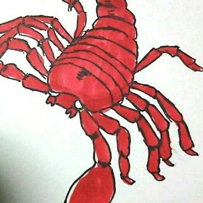 ジョーさんのプロフィール画像