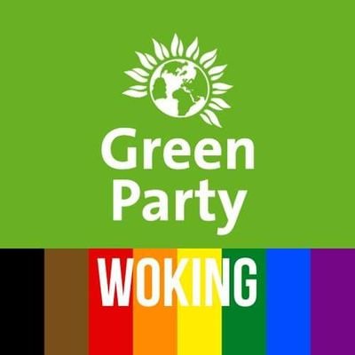 Promoted by Paul Hoekstra on behalf of Woking Green Party. Reachable at Dominique, Salisbury Road, Woking or info@wokinggreens.org
#WokingGreens 🇪🇺