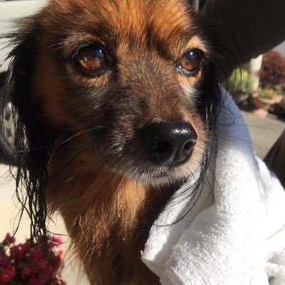 dajajajajajamj's profile picture. 