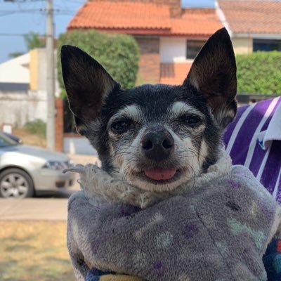 tavoherrera's profile picture. Hay cosas que nunca entenderás hasta que te pasen.