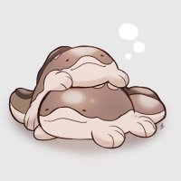 ゆい (@yururu_ruler) 's Twitter Profile