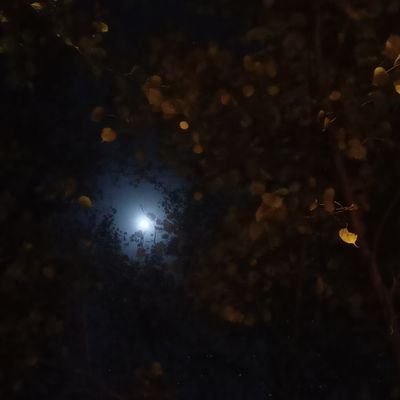 29_archana's profile picture. DSE '25|| Economics||
DU'22|| Poetry 💚

ये दुनिया हक़ीकत की कायल नहीं है 
फ़साने सुनाओ फ़साने बहुत हैं।।

~नौशाद(साहेब)❤️