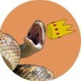 SnekyEXE (@thesneklord) 's Twitter Profile Photo SnekyEXE (@thesneklord) 's Twitter Profile Photo