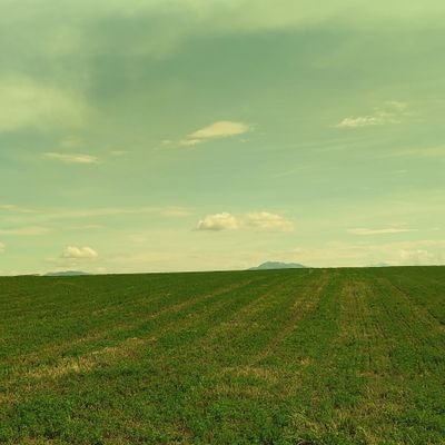 RaduM83991880's profile picture. 