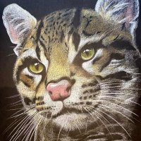 SATDT Birna Avila (@birnavila) 's Twitter Profile Photo