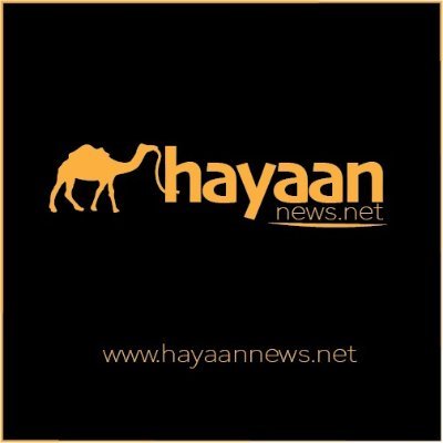 hayaan_news Profile Picture