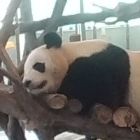 ユウ ∵ (@worldpartys) 's Twitter Profile