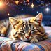 Cat 🌌 (@catscandream) Twitter profile photo Cat 🌌 (@catscandream) Twitter profile photo