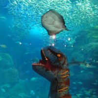 イカです⭐︎ Amazon | 【Deepa】ディオZX スーパーディオZX AF27 AF28 強化