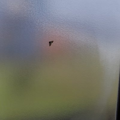 3fIeeze's profile picture. 