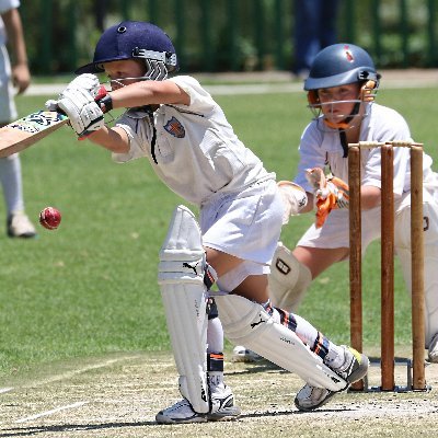 cricketer_49310's profile picture. 