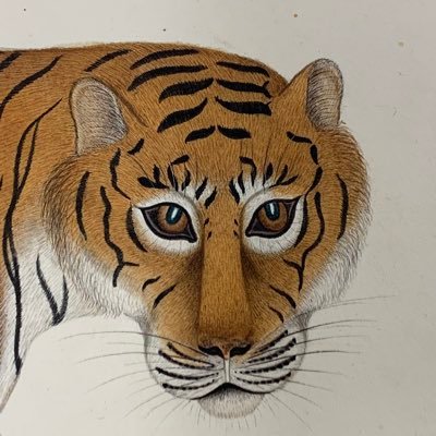 etobes π§π· Profile