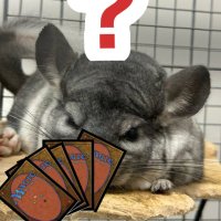 テツ丸@MTG初心者 (@mtgchillamaru) Twitter profile photo