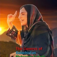 Abid Baloch (@abd2245a7) 's Twitter Profile