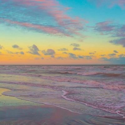 srgnberke's profile picture. bbb