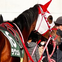 UNCHO (@shilknadeshiko) 's Twitter Profile Photo UNCHO (@shilknadeshiko) 's Twitter Profile Photo