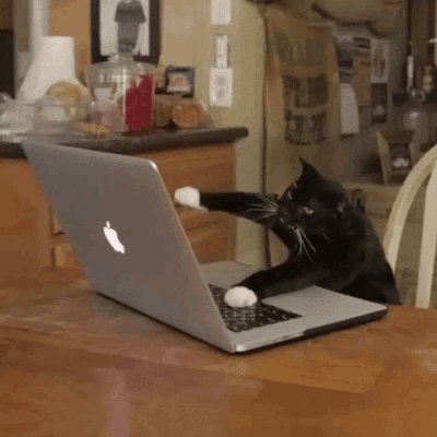 $MAC
Official channel for Cat on Mac

https://t.co/GzGDLzpxEs