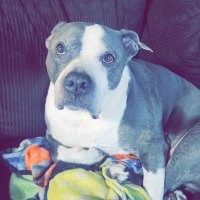 Zander 🇨🇦 (@zanderzone4218) 's Twitter Profile Photo Zander 🇨🇦 (@zanderzone4218) 's Twitter Profile Photo