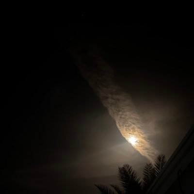 WMq_V's profile picture. Data science | machine learning | deep learning | python | SQL | power Bi