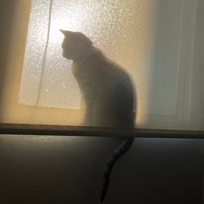 xavicann's profile picture. 🍃🍂