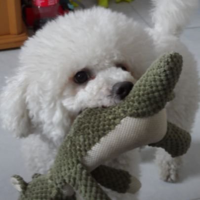 leizeqian114563's profile picture. 请给我一杯美味的咖啡