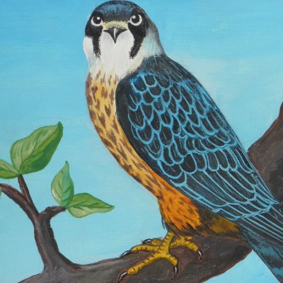 Love         JESUS,  GOD, FAMILY, FRIENDS, PETS, NATURE

Don't recognize Canada anymore.  Peregrine Falcon my painting .
5 EYES Membership in Danger.
NO DMs