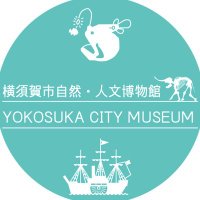 横須賀市自然・人文博物館(@ycm_yokosuka) 's Twitter Profile Photo