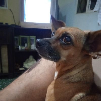 MDuraDura172255's profile picture. Fiel a mi Revolución y 100% cubana🇨🇺