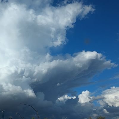 M_MBenderAZ's profile picture. 