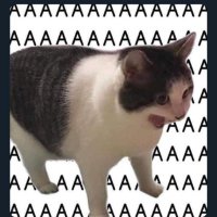 Florinesia (@flopycrosby) 's Twitter Profile