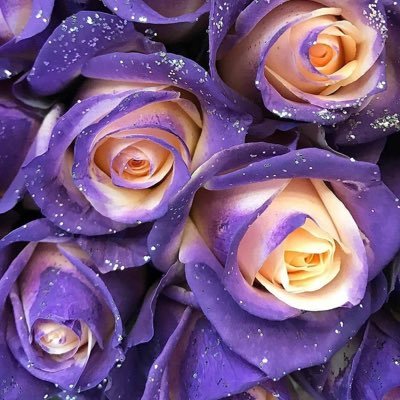 AuntieCherry72's profile picture. ✨Freedom ✨Conservative ✨Unvaccinated ✨Sick of the Leftist Rhetoric & BS ✨Awake NOT woke!