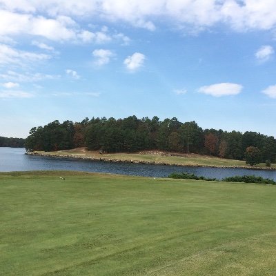 PingZhang89780's profile picture. 