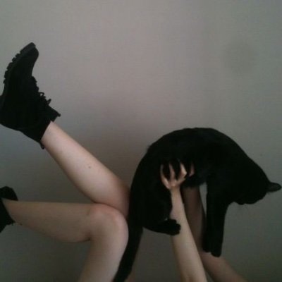 cllynox's profile picture. i talk about whatever I’m interested in