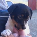 Michael Lauritsen - @Lauritsen1997 - Twitter