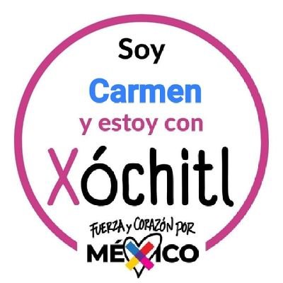 Enérgica, leal, congruente, hiperactiva, amo a mi familia y a México. voy con Xóchitl.