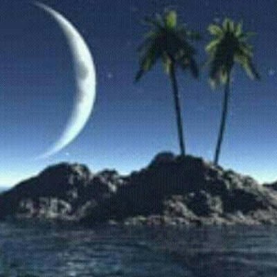 mhammedFa's profile picture. 