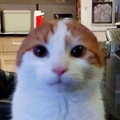 Zokyeee's profile picture. 
