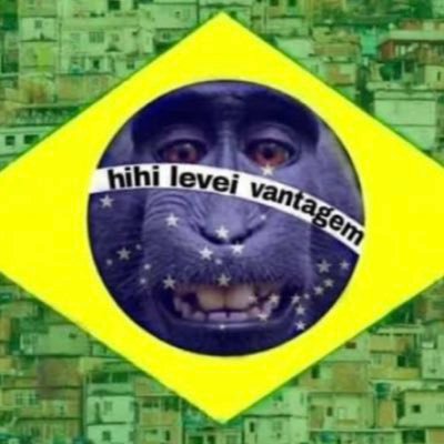 Página de notícias e humor bostileiro administrada por jovens que ainda tentam tankar o Bostil / Siga e apoie a maior pagina antibostil ❌🇧🇷 Sugestões via dm