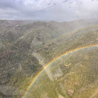 Mollyhappyhotel's profile picture. 