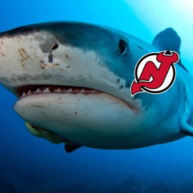 NJ Devils & Occasional Shark Content | 🦈🦈| NOT the real Shark Week TV program | Manager of the No Dingus Zone | Once accidentally predicted an NHL trade
