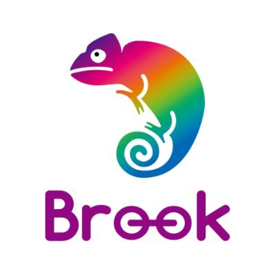 Brook Gaming
