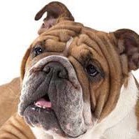 1984agenda's profile picture. フォローしてくださってる人達へ、なぜかわからないのですが、2度？もアカ停止になりまたまた、垢を作り直したので誠に申し訳ございませんが、フォローしてる方はお手隙ですがフォローをまたお願いします