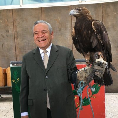 Jose Alfredo Botello Profile